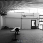 MOI_P1300107